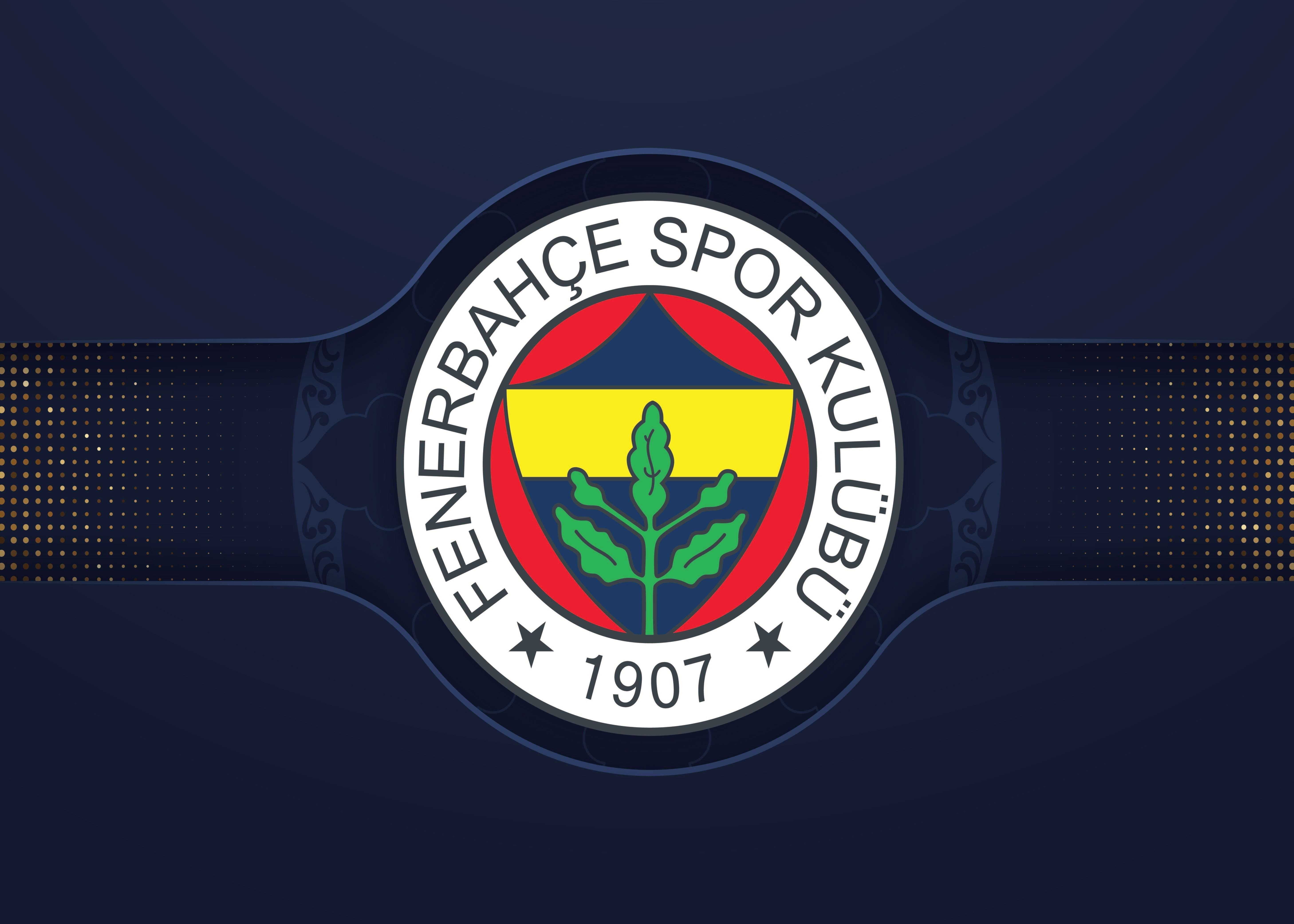 Fenerbahçe'den sermaye artırımı başvurusu