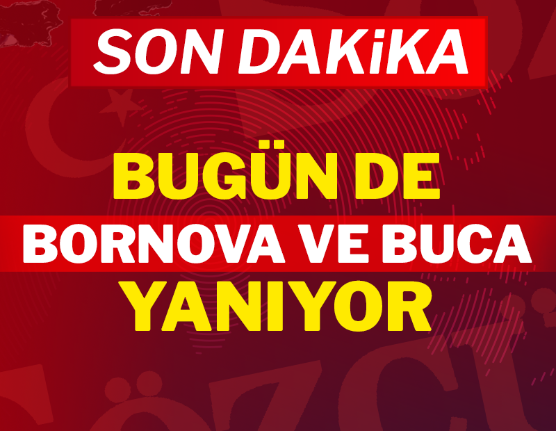 son-dakika-tubipng-R2J9ZFP3jE_yjCbq2IwydQ.png