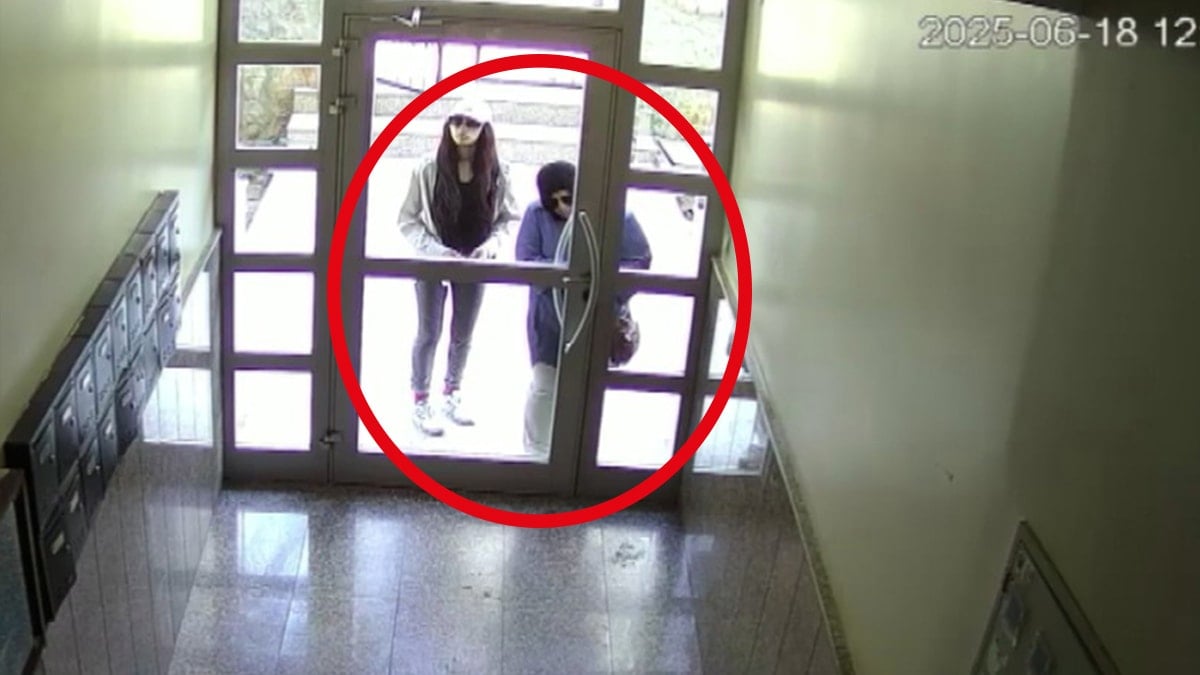 İstanbul'u birbirine katan suç makineleri yakalandı