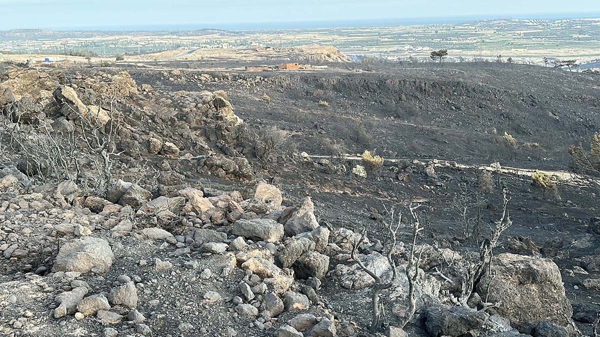 Çanakkale'de yangının verdiği güneş doğunca ortaya çıktı