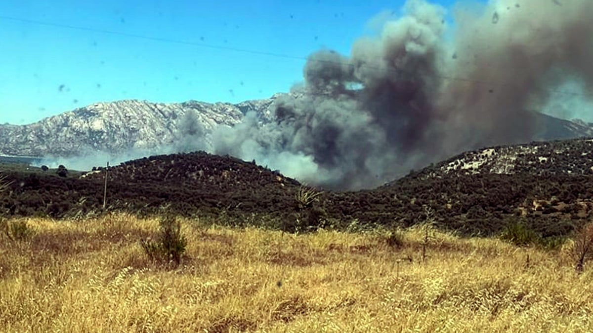 Milas’ta orman yangını başladı