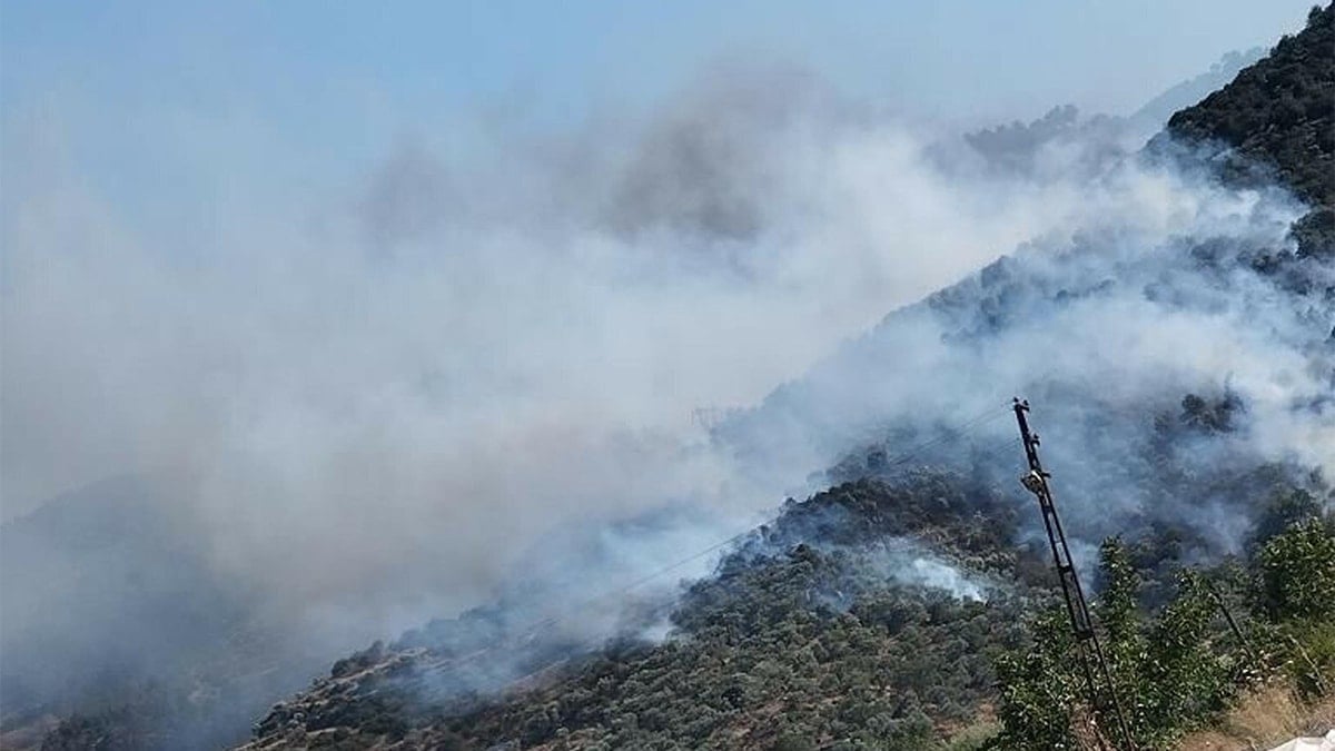 Aydın Bozdoğan'da korkutan orman yangını