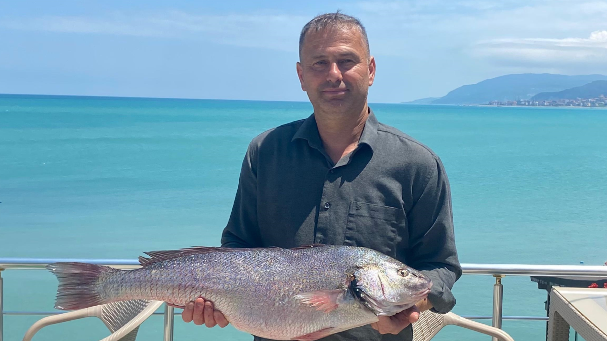 Sinop'ta 6,5 kilogramlık beyaz kötek balığı avlandı