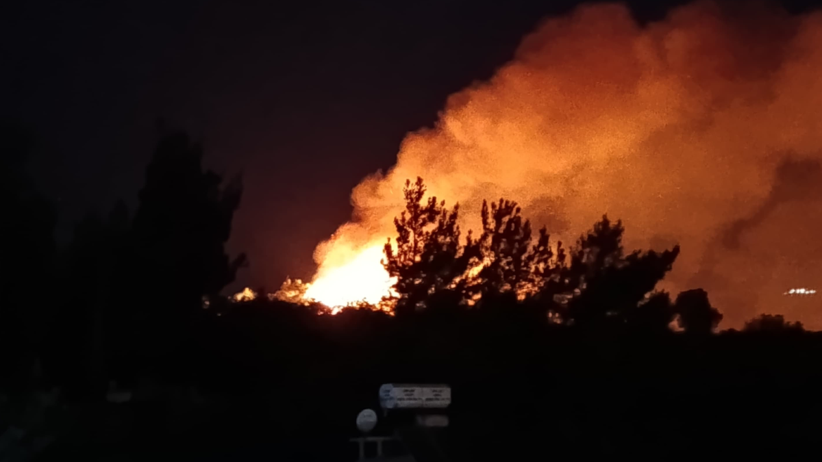Hatay'da makilik yangını kısa sürede söndürüldü