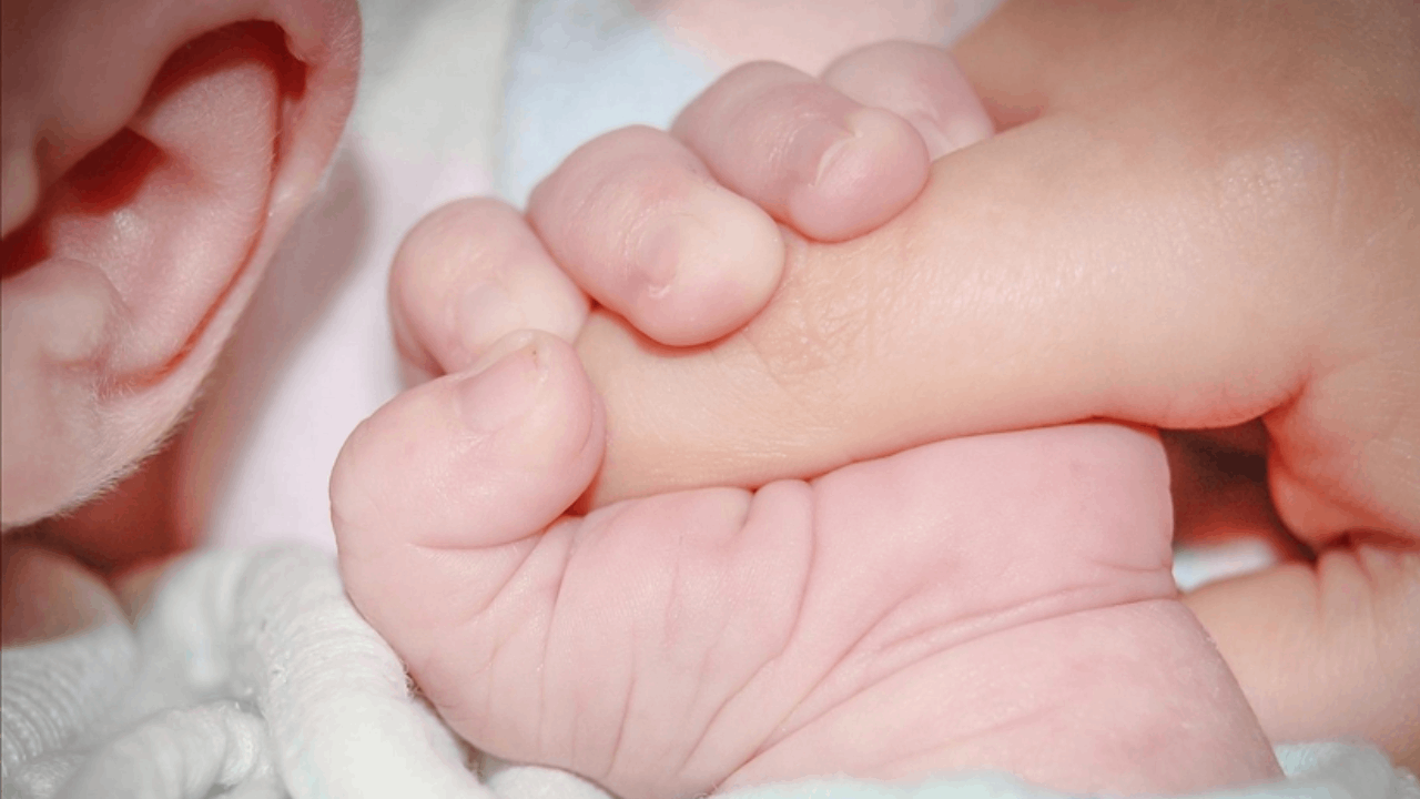 Dar gelirli ailelere ücretsiz tüp bebek desteği