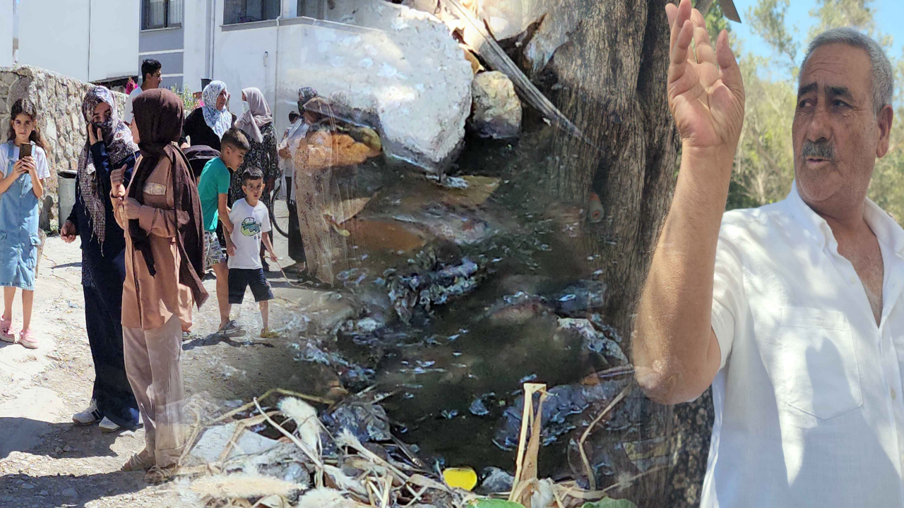 Turistik ilçede şok görüntüler: 'hastalıklar başladı' dediler isyan ettiler