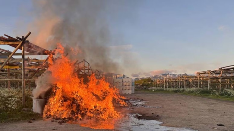 Tatile gittikleri köyü günden güne yaktılar: 12 ton balık çöp oldu, köylüler yakaladı