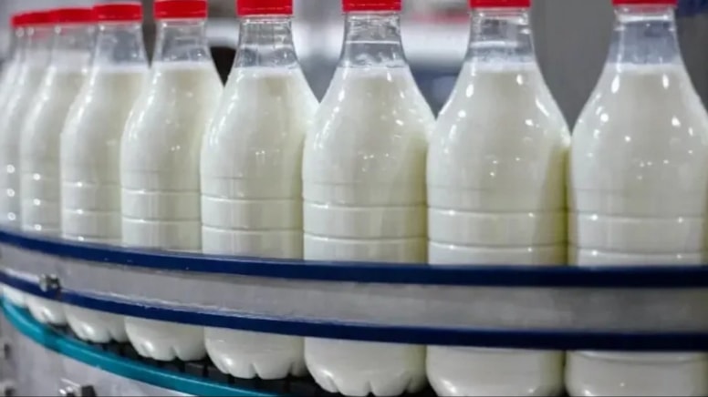 Ünlü süt devine soruşturma!