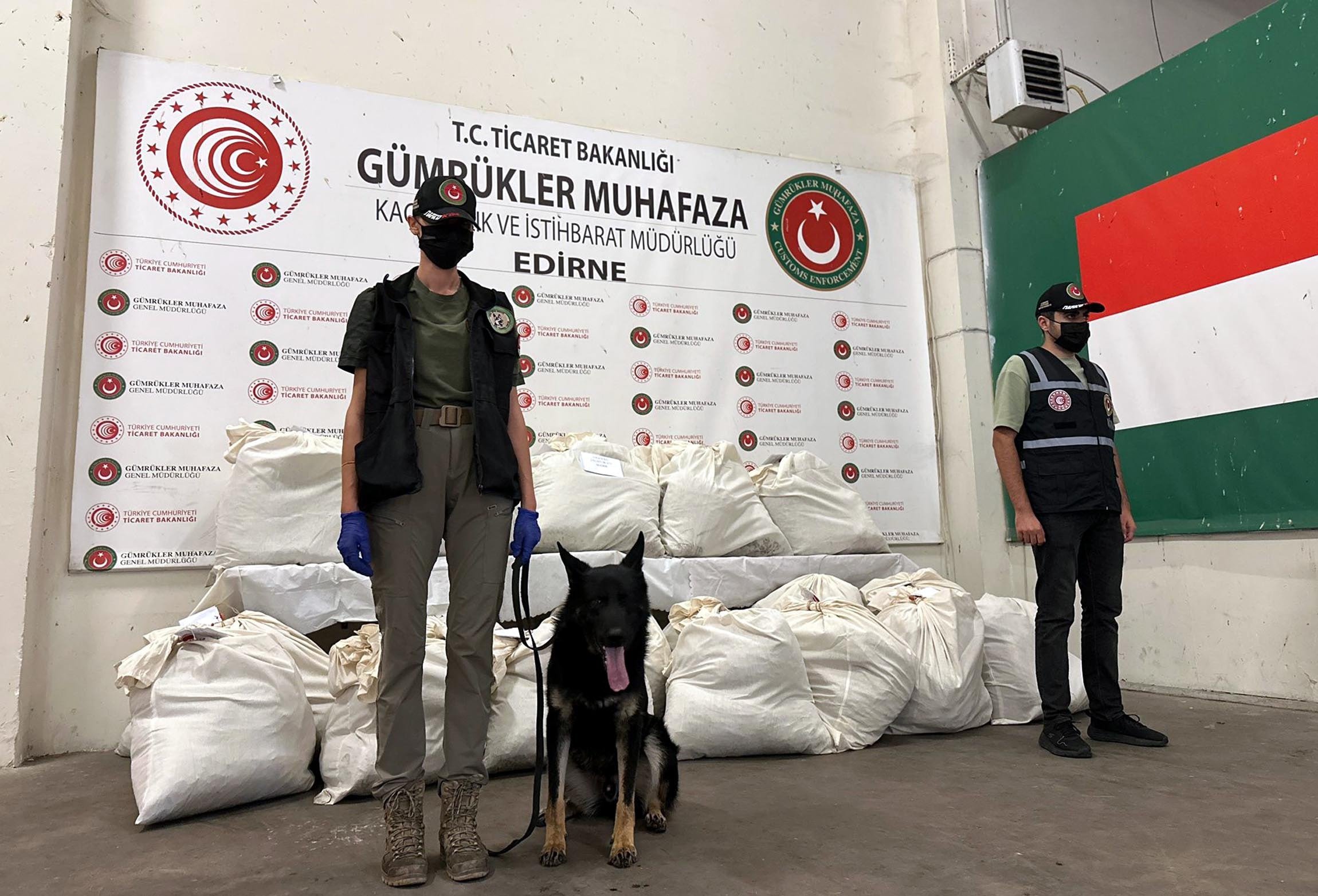 Kapıkule'de 3 tırda kilolarca uyuşturucu ele geçirildi