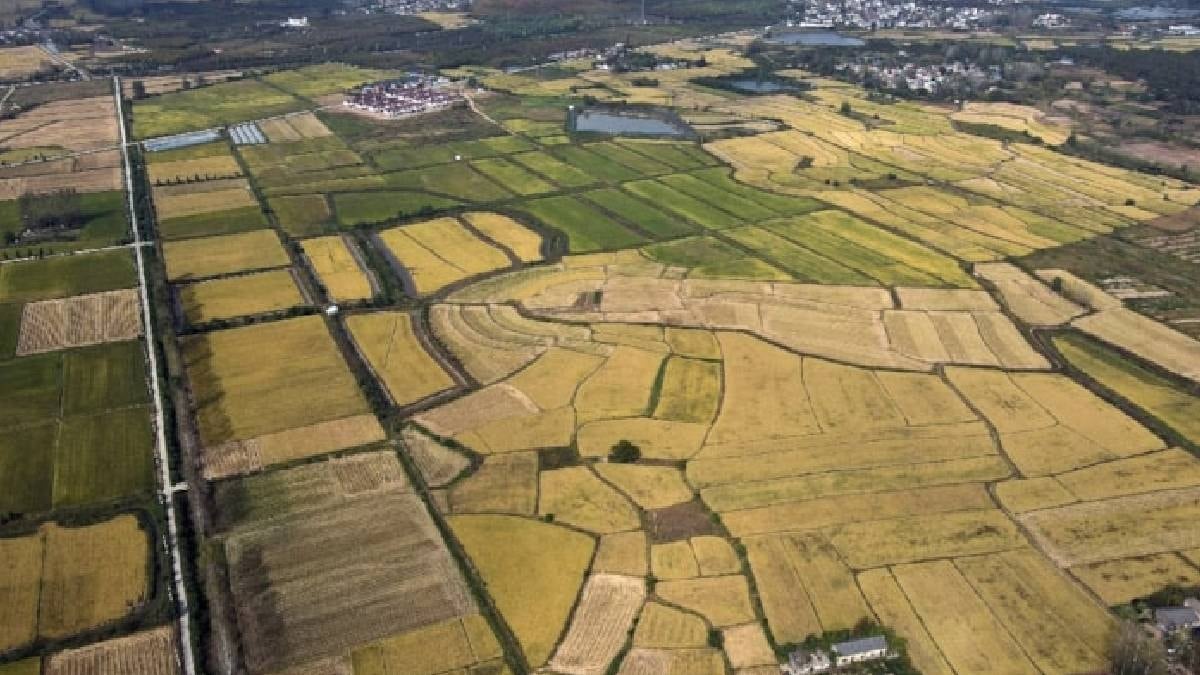 TOKİ'den 30 ilde büyük arsa fırsat: 307 bin liradan başlıyor