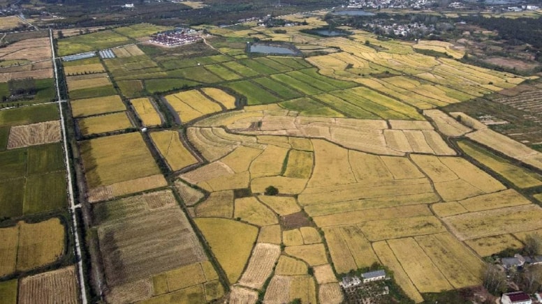 Bir zamanlar herkes çok değerlenecek diye alıyordu: Bu arsaları alanlar yandı, rekor zarar oldu