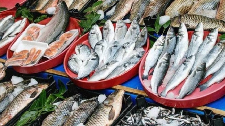 Cep yakan palamut yerine sofralar bu 2 türle dolacak: Kılçığı ve derisi bile faydalı