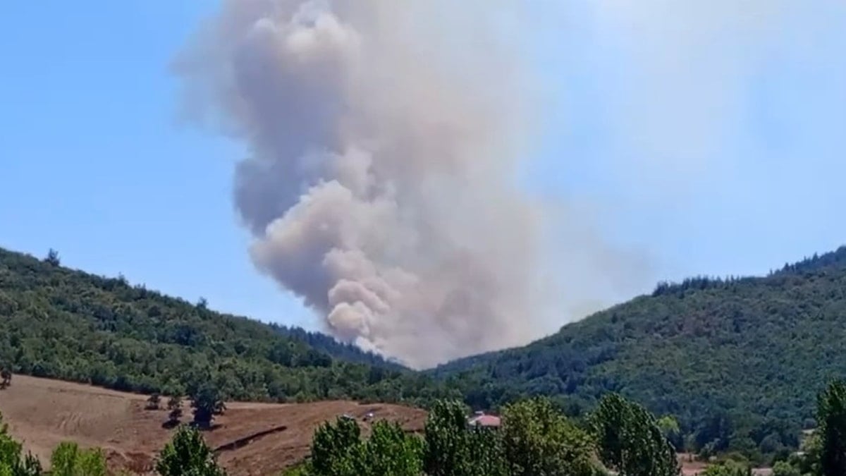 Bursa'da orman yangını: Müdahale ediliyor