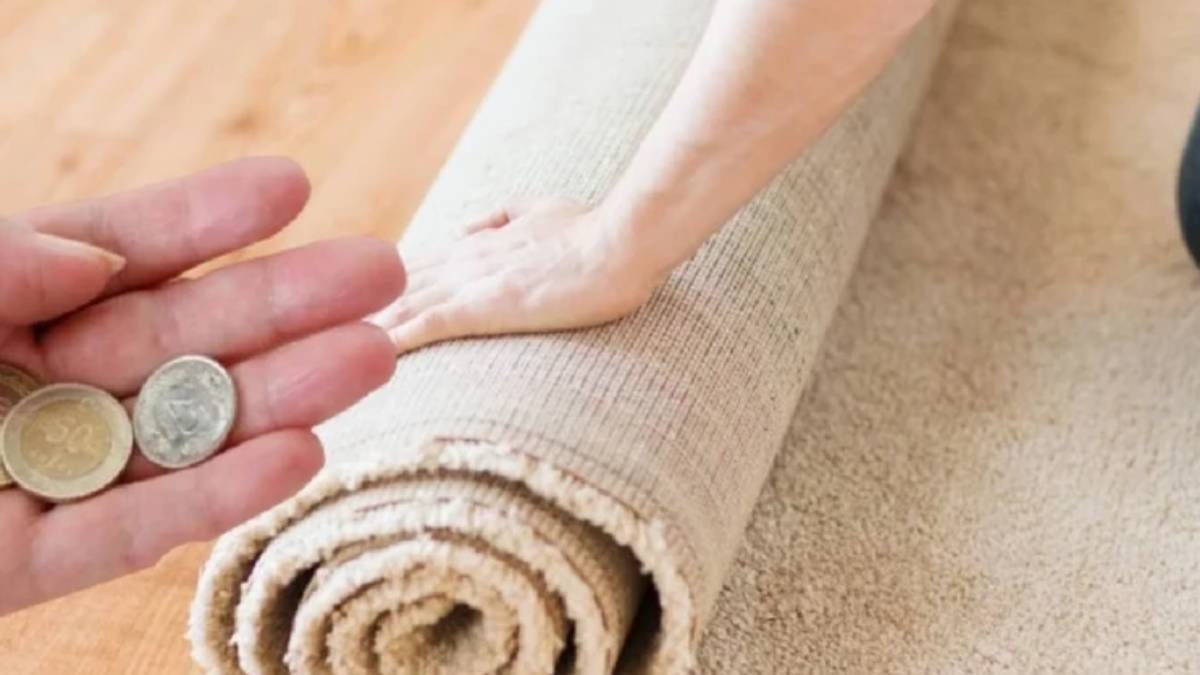 Halının altına madeni para koyun hepsinden kurtulun