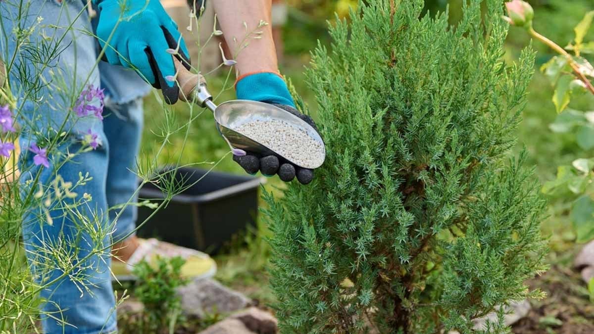 Pestisitlere en iyi alternatif, hatta 100 kat daha etkili: Çiçekler açıyor, salyangozlar kaçıyor, dünya temizleniyor!