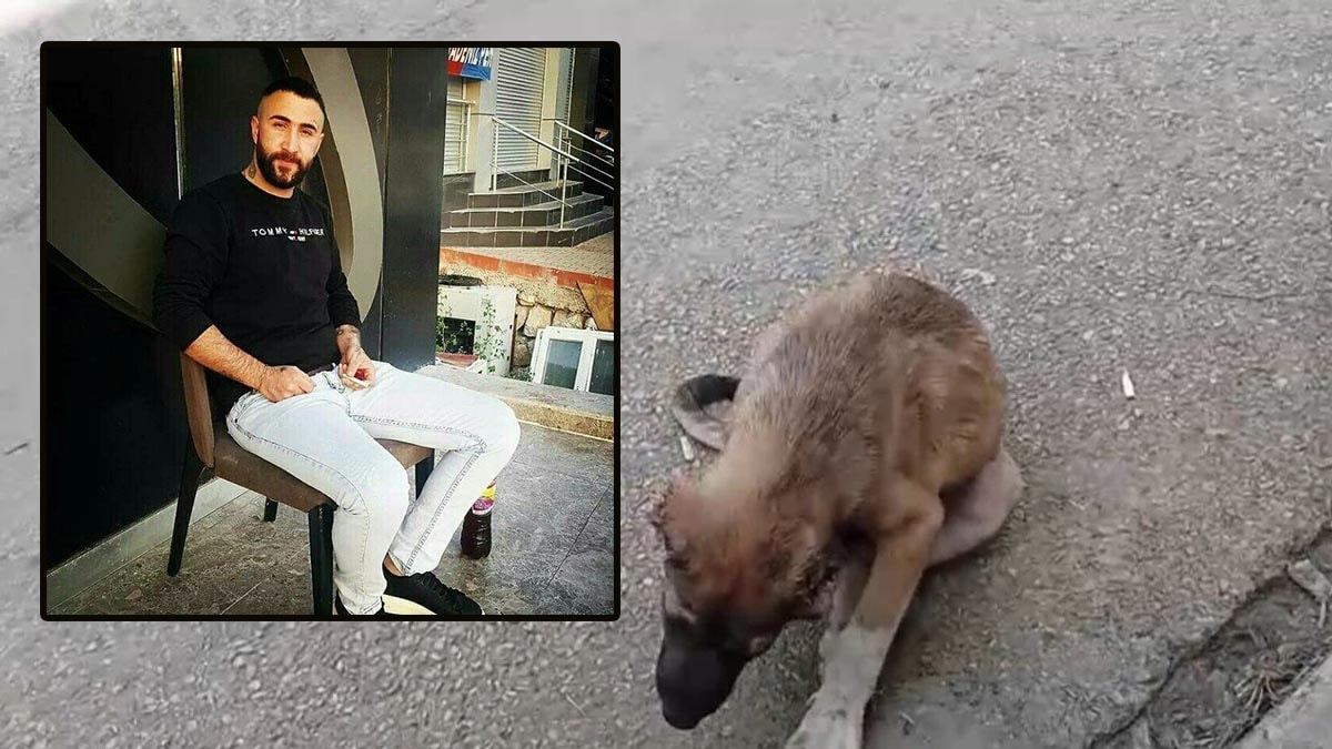 Köpeğe işkence eden şahıs tutuklandı