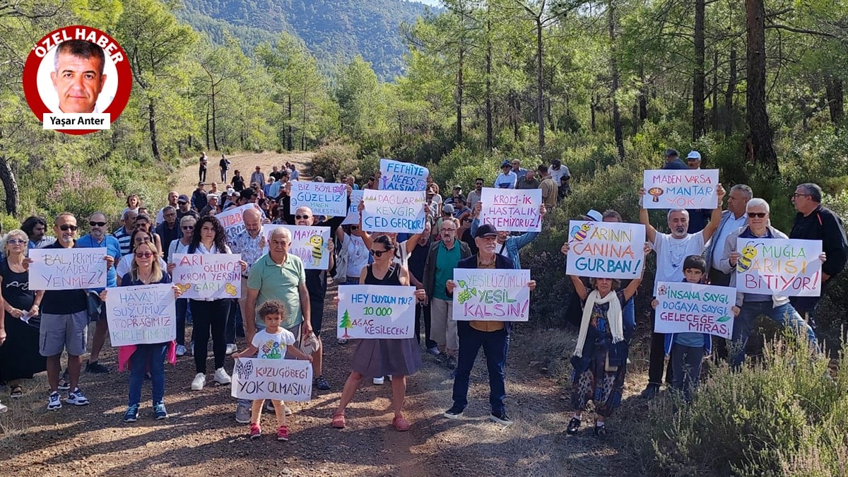 Orman içindeki mermer ocaklarının ÇED süreçleri durduruldu