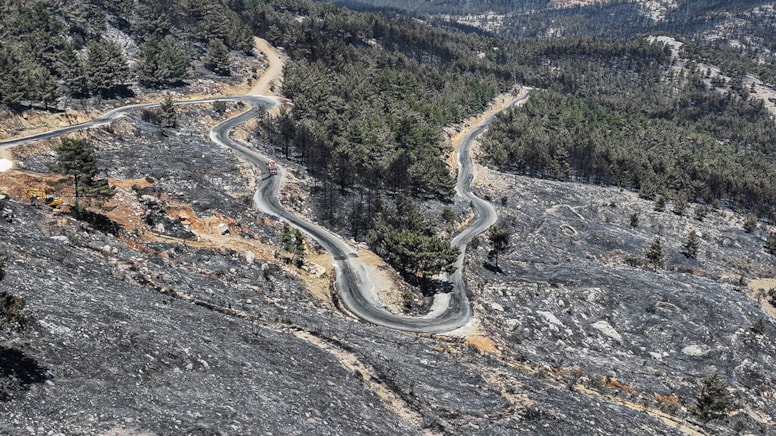 Orman yangınlarından etkilenen alanlarda avlanmak yasaklandı