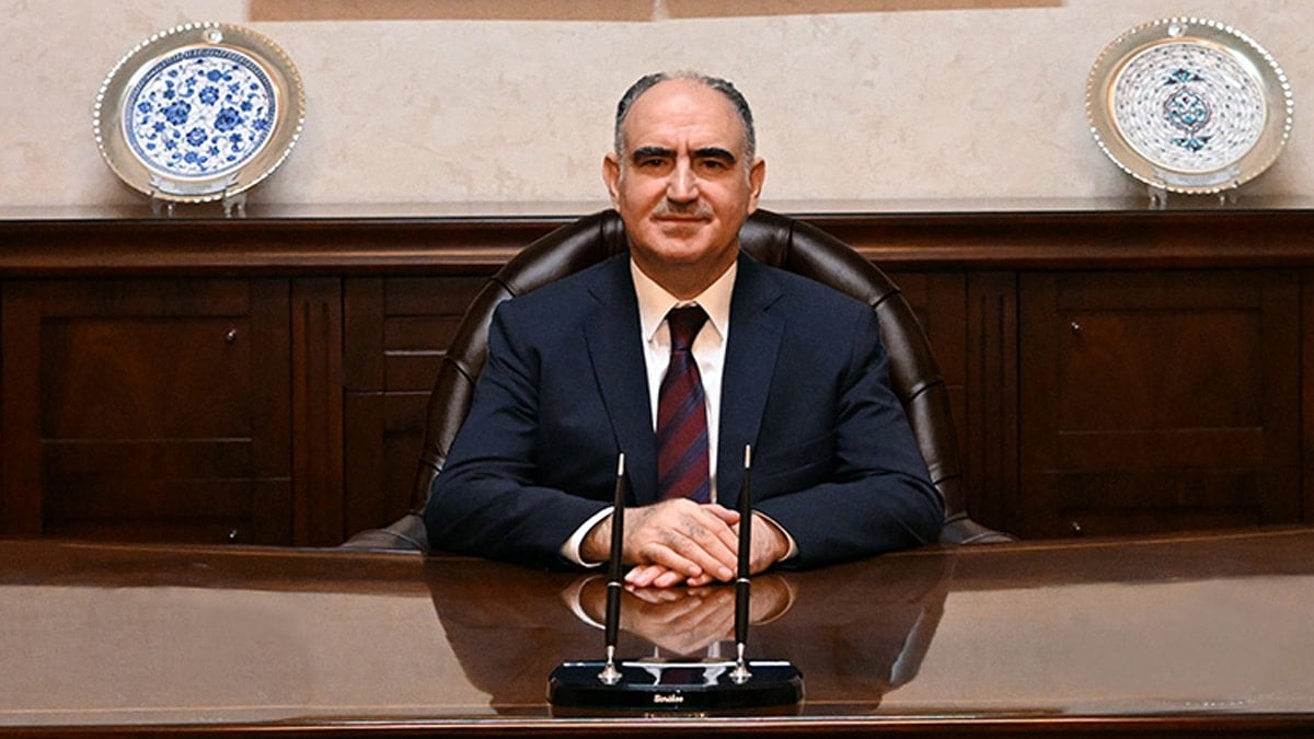Ayçiçekleri