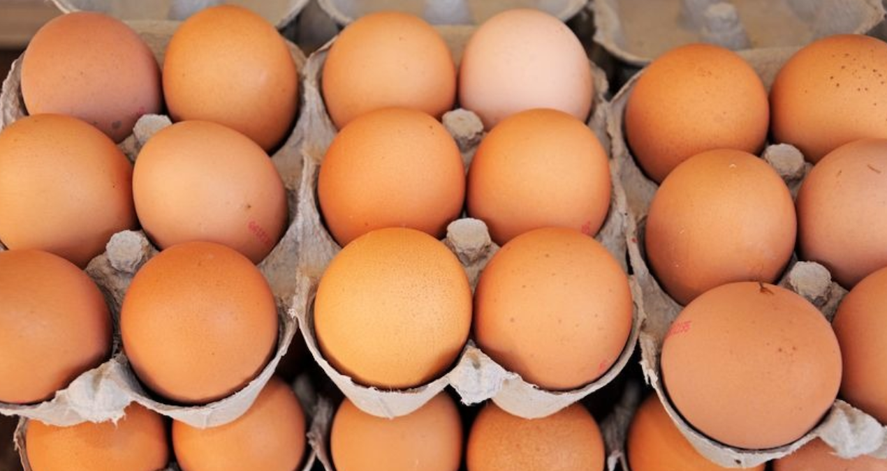 Salmonella tehlikesi nedeniyle yumurtalar acil olarak geri çağrıldı