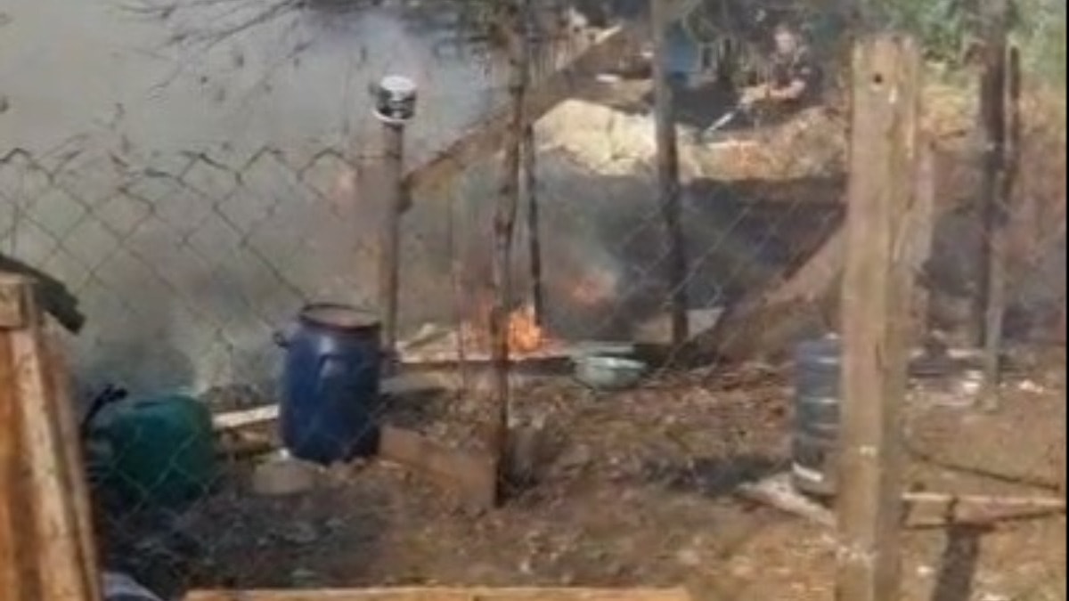 İstanbul'da yangın kümese sıçradı: Çok sayıda güvercin telef oldu