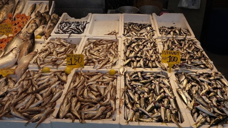 100 liraya düştü daha da düşecek: Sofraların protein deposu bu ay bolluk yaşatıyor
