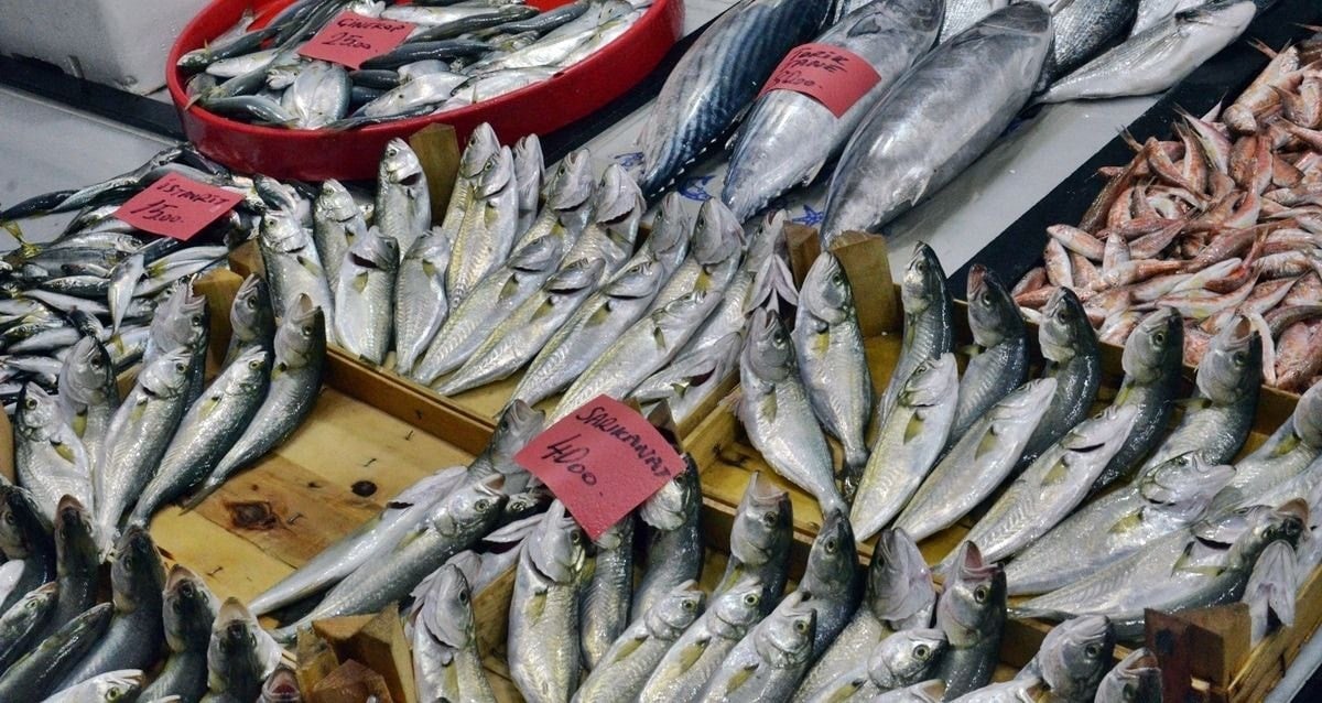 Vatandaş bu yıl balığa doyacak: Kilosu 100 liraya kadar düştü