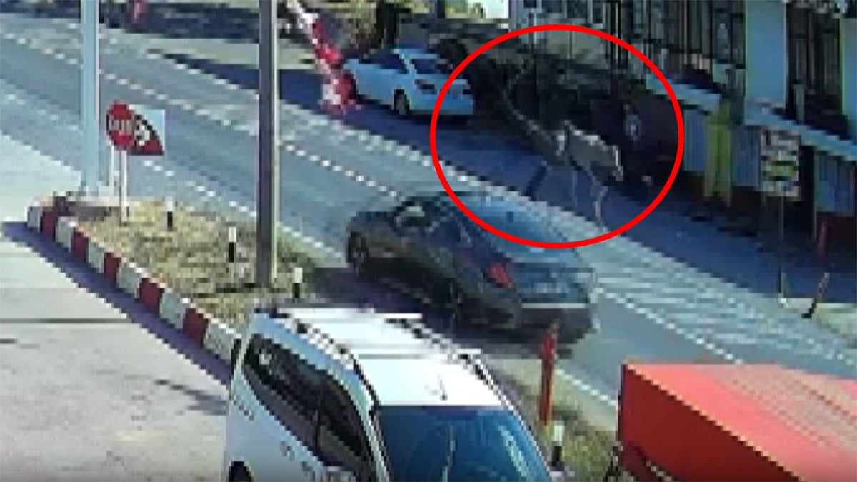 Otomobil çarptı, metrelerce havaya savruldu