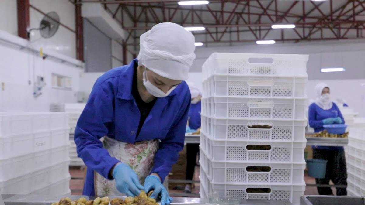 14 ülkeye ihracat yapan Türk gıda devi iflasın eşiğinde