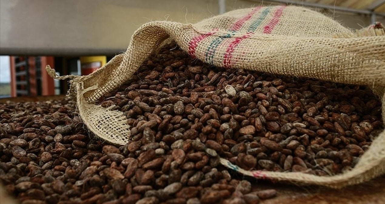 Kakao alımlarında yeni düzenleme: Dış finansmana başvurulamayacak