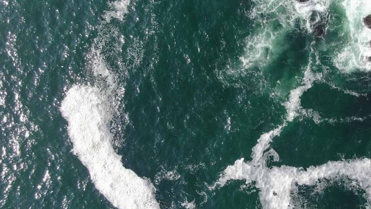 Pasifik Okyanusu'nda 8.000 kilometrelik bir "canavar" uyanıyor: Bilim insanları "daha önce böylesi görülmedi" diyor