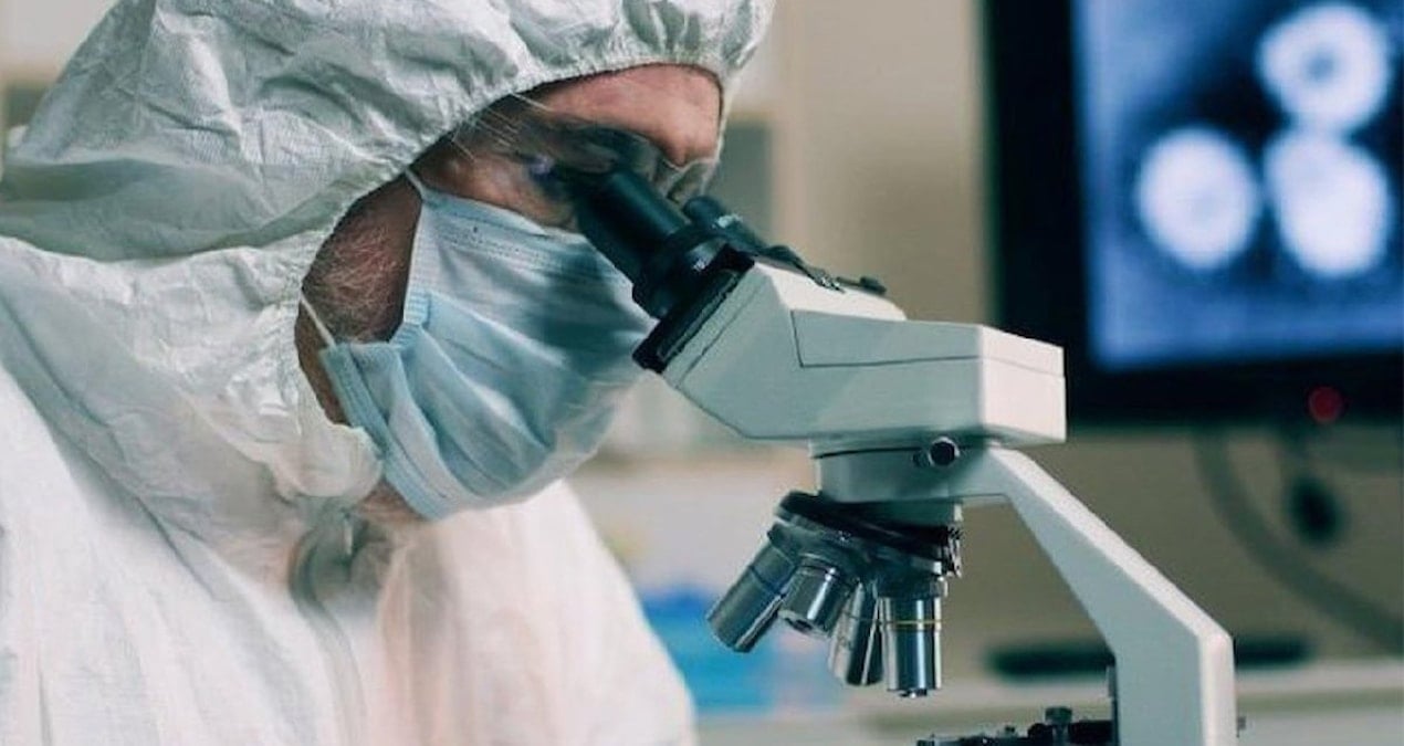 lassajpg-BPH3AGhGAE_lwzh6UgpKfA Nijerya'da Lassa ateşinde can kaybı arttı