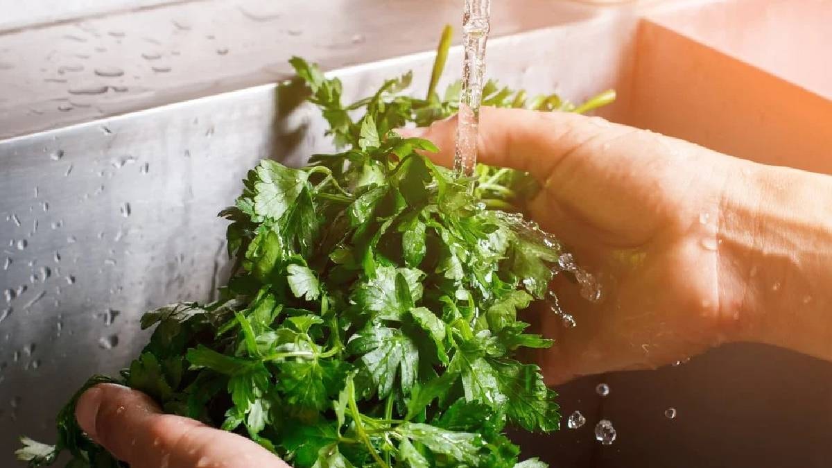 Bir tutam maydanoz yiyin fark� g�r�n