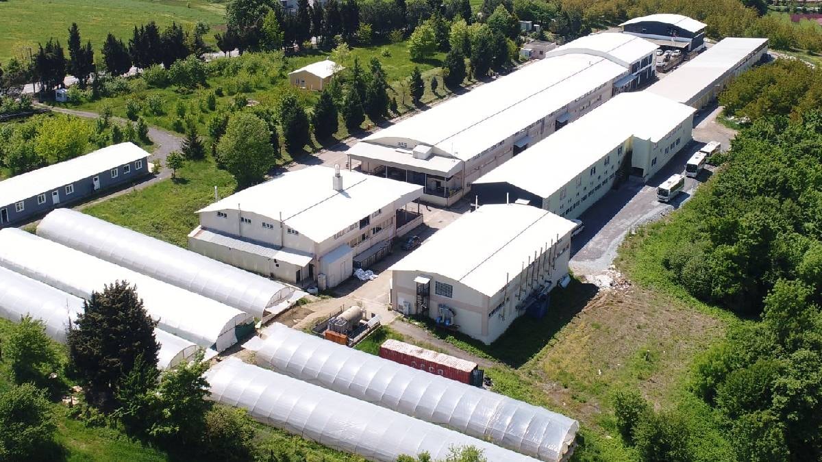 Türkiye'nin 32 yıllık giyim devi iflas bayrağını çekti: Uluslararası Ticaret Odası'ndan başarı ödülü almıştı