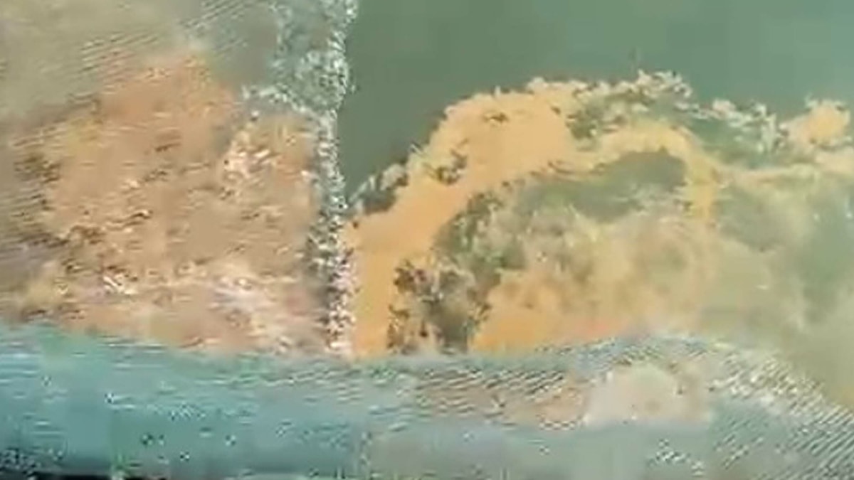 1 Eylül'de yasak kalktı, balıkçılar bu görüntüyle karşılaştı: