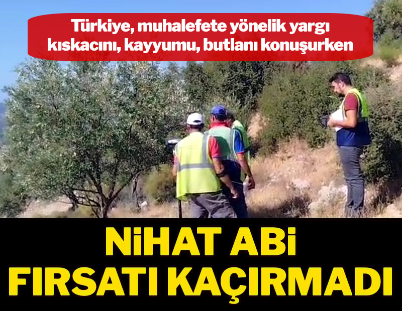 Zeytin katliamı mesaisi başladı