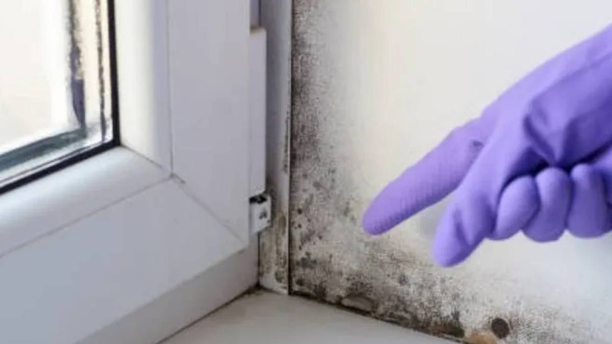 Pencere kenarlarındaki küf ve nemi yok ediyor: Bu yöntemi ilk defa duyacaksınız