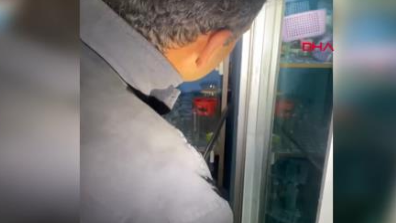 Hatay’da dolaba yılan girdi