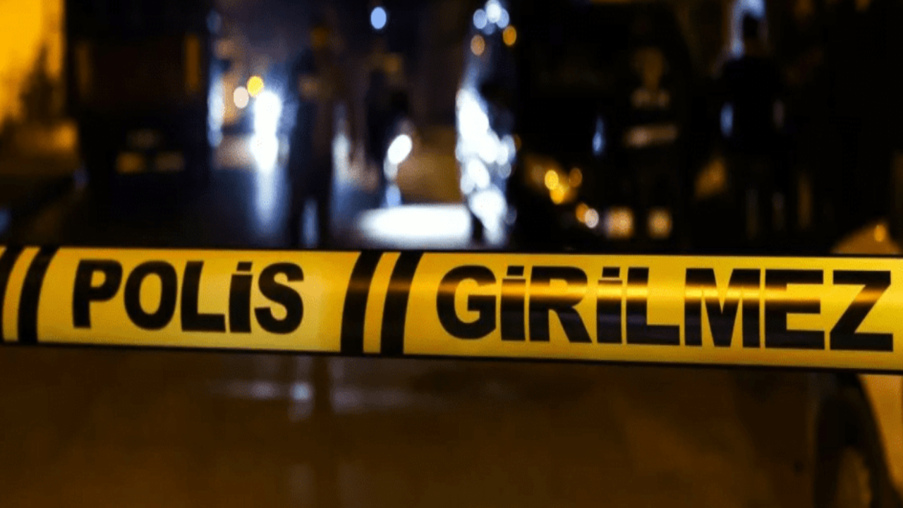 Tarlaya devrilen kamyonetin sürücüsü öldü