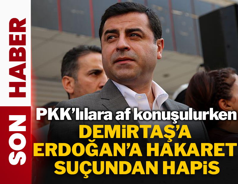 Demirtaş'a 'Cumhurbaşkanına hakaret' suçundan hapis