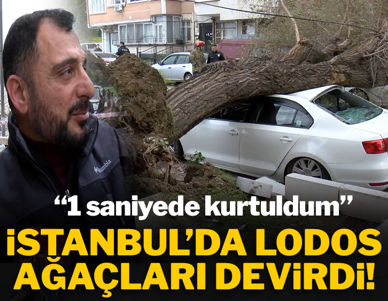 İstanbul'da lodos ağaçları devirdi: '1 saniyeyle kurtuldum'