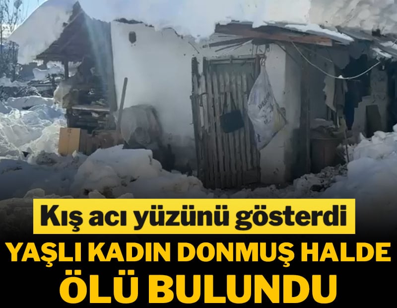 80 yaşındaki kadın bahçede donmuş halde ölü bulundu