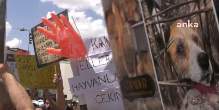 Köpeklere cinsel saldırıda bulunup öldüren doktorun davası yeniden görülecek