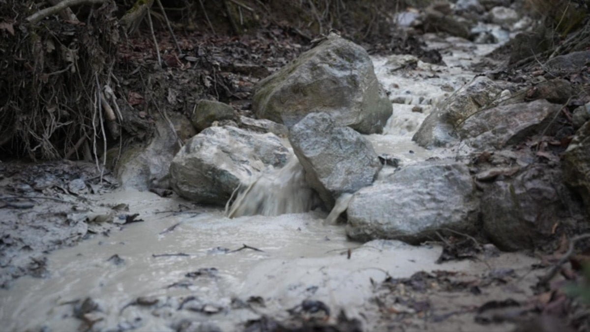 Halkı döve döve yapıldı şimdi zehir saçıyor
