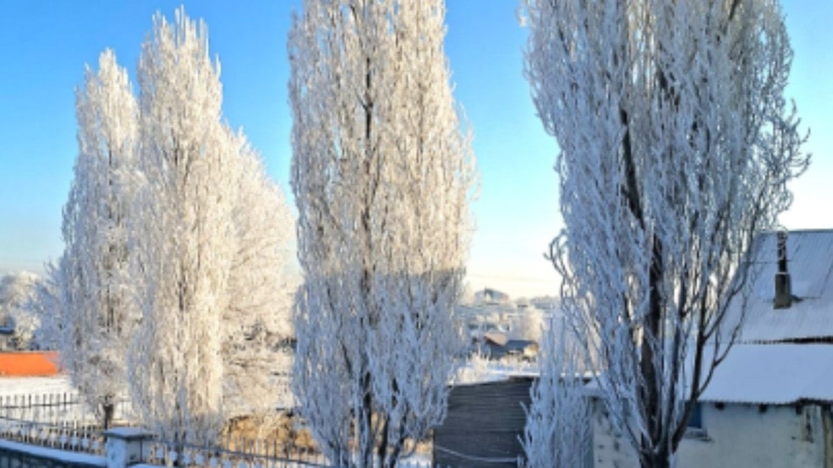 Göle'de termometreler eksi 39,7 dereceyi gösterdi