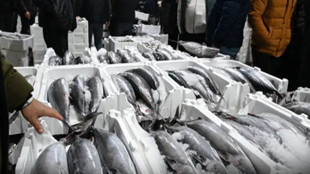 40 yıl sonra İstanbul'a döndü: Fiyatı 3500 TL