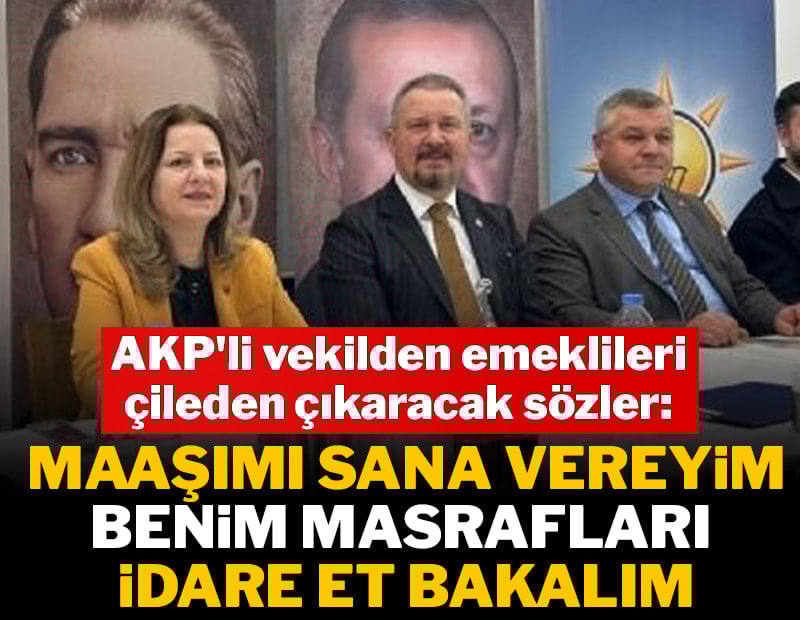 AKP'li vekilden emeklileri çileden çıkaracak sözler