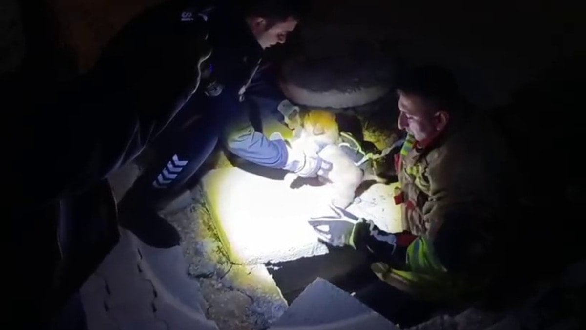 Hatay'da rögarda sıkışan yavru köpeğin imdadına itfaiye yetişti