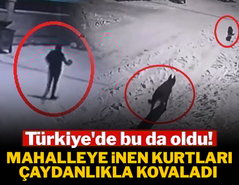 Mahalleye inen kurtları, elinde çaydanlıkla kovaladı