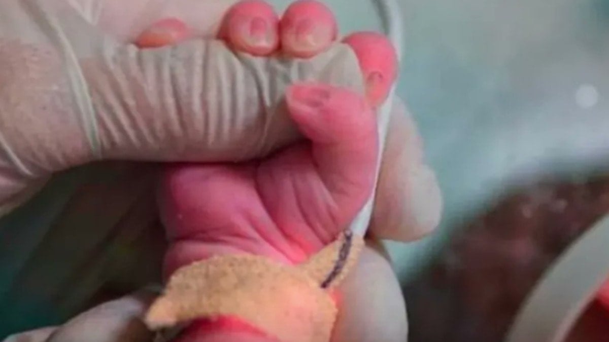 2 aylık bebek açlıktan ölmüştü: Aile boyu katil çıktılar!